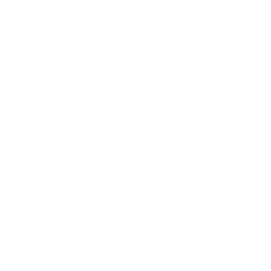 Revolution