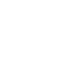 Speedy